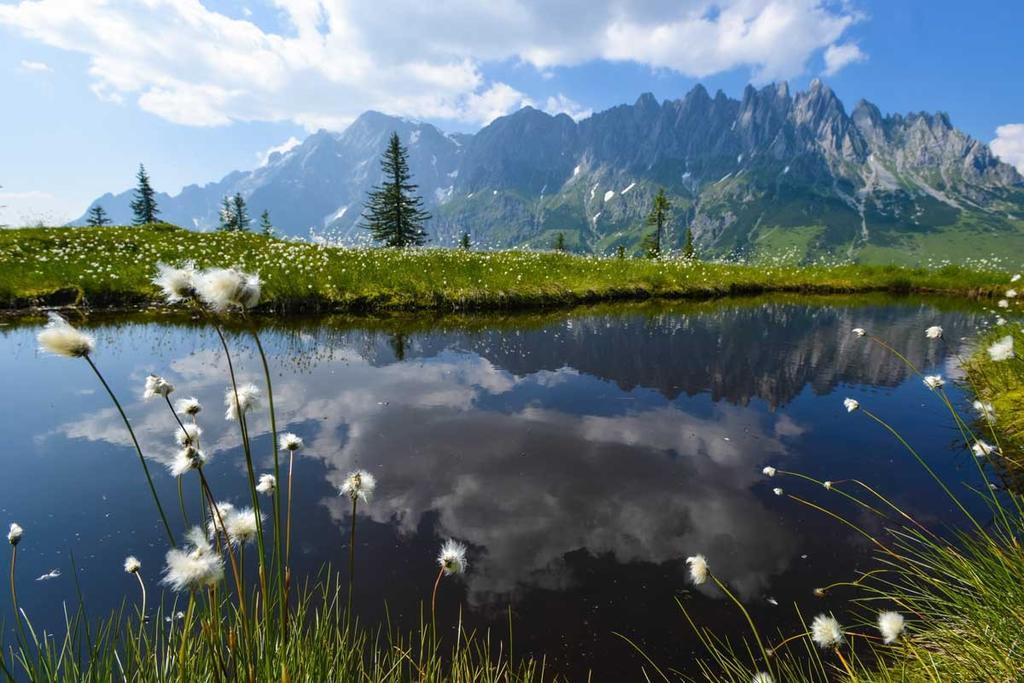 Landhaus Rieding Daire Mühlbach am Hochkönig Dış mekan fotoğraf