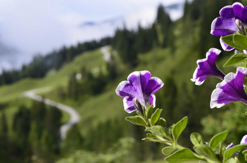 Landhaus Rieding Daire Mühlbach am Hochkönig Dış mekan fotoğraf