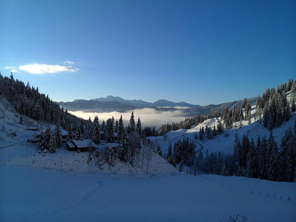 Landhaus Rieding Daire Mühlbach am Hochkönig Dış mekan fotoğraf