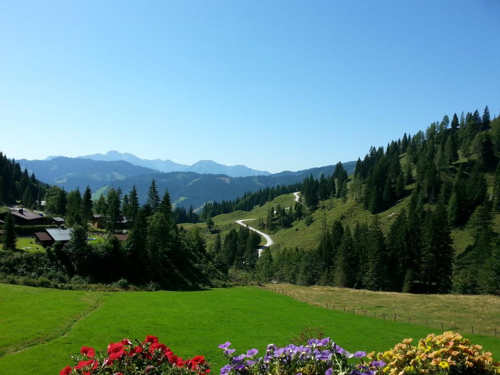 Landhaus Rieding Daire Mühlbach am Hochkönig Dış mekan fotoğraf