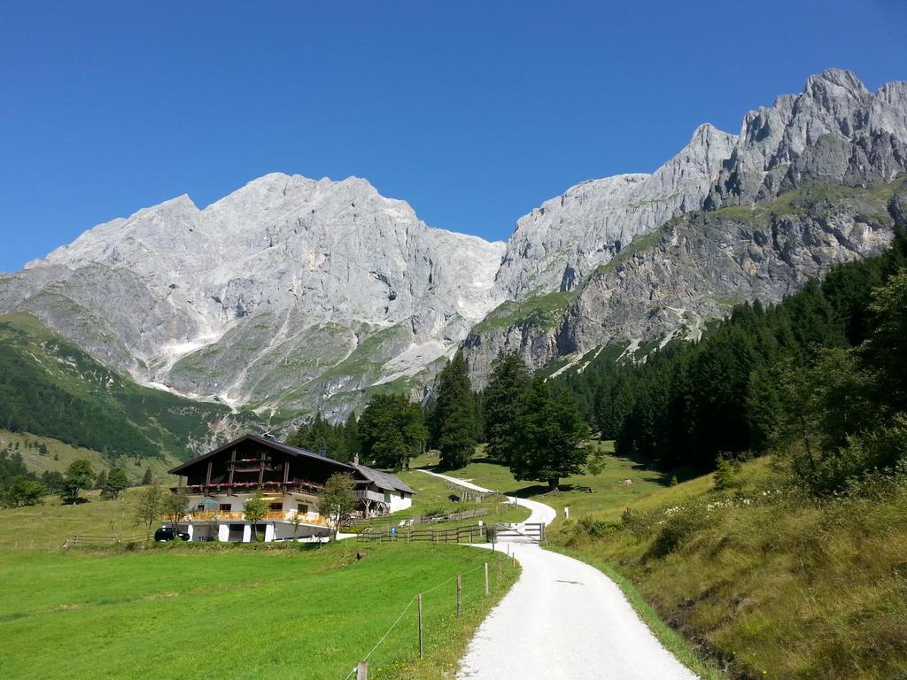 Landhaus Rieding Daire Mühlbach am Hochkönig Dış mekan fotoğraf