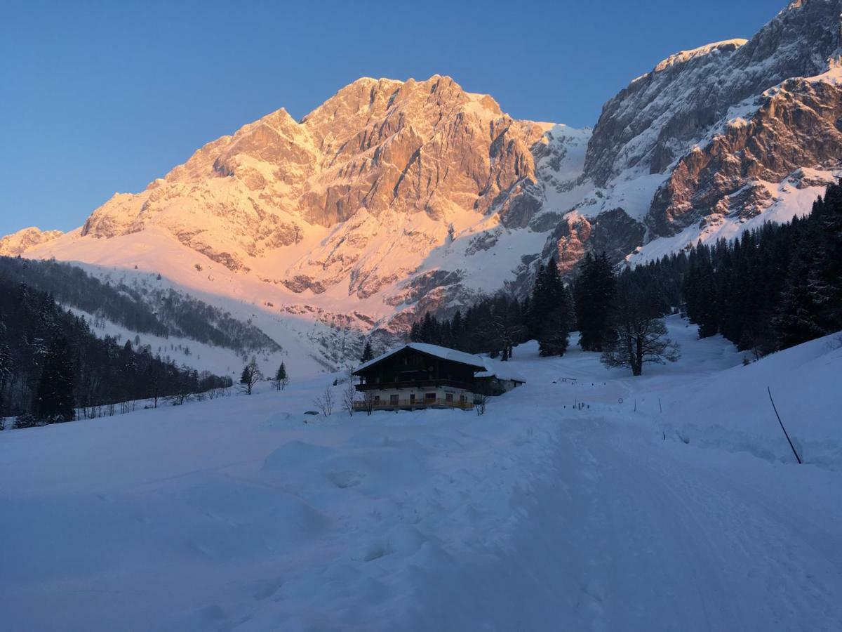 Landhaus Rieding Daire Mühlbach am Hochkönig Dış mekan fotoğraf