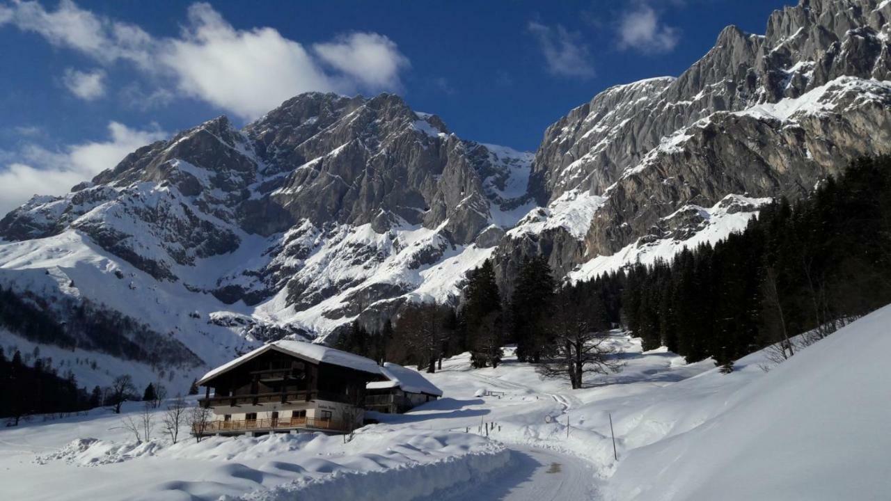 Landhaus Rieding Daire Mühlbach am Hochkönig Dış mekan fotoğraf